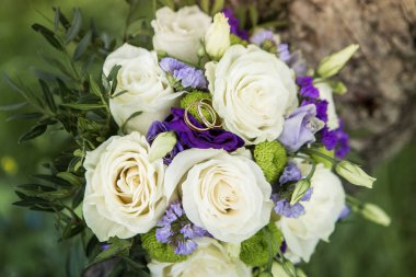 Mavi ve lavanta çiçek kokulu beyaz gül. Alyans makro fotoğrafçılık.