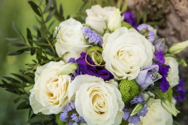 Mavi ve lavanta çiçek kokulu beyaz gül. Alyans makro fotoğrafçılık.