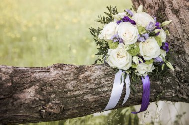 Mavi ve lavanta çiçek kokulu beyaz gül. Alyans makro fotoğrafçılık.