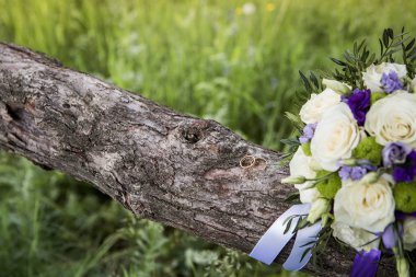 Mavi ve lavanta çiçek kokulu beyaz gül. Alyans makro fotoğrafçılık.