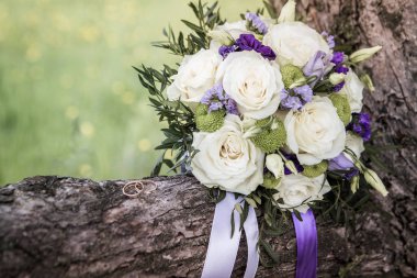 Mavi ve lavanta çiçek kokulu beyaz gül. Alyans makro fotoğrafçılık.