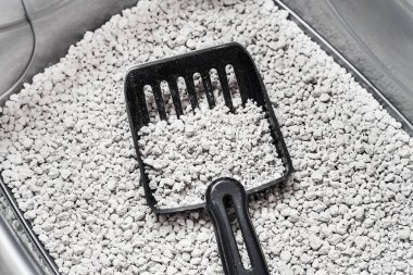 Kedi kumu. Temiz kedi tuvalet. Yavru kedi çöp