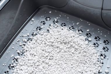 Temiz kedi tuvalet. Kedi kumu. Evcilleştirme yavru kedi pota