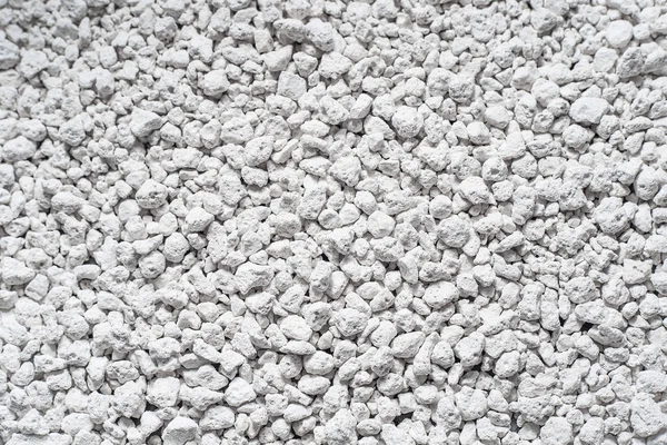 Kedi kumu. Evcilleştirme yavru kedi pota