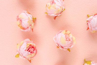 Narin çiçek arka plan, bir ışık Şakayık çiçekleri Pembe Keçe, basit düğün arka plan