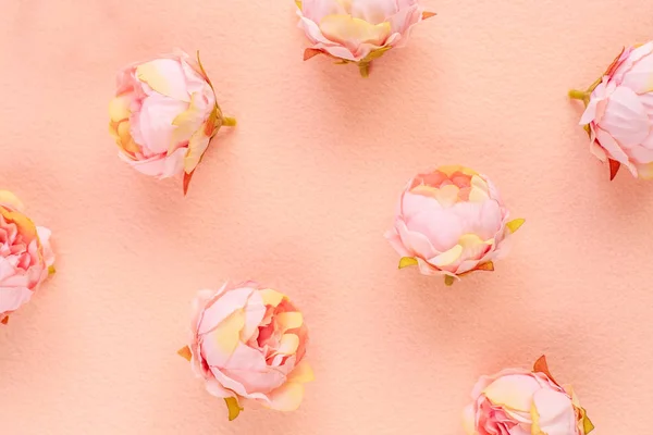 Fundo Floral Delicado Flores Peônia Feltro Rosa Claro Fundo Casamento — Fotografia de Stock