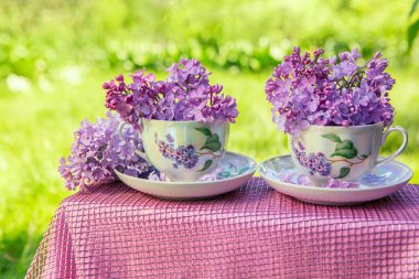 Two porcelain cups with lilacs in the garden, Sunny spring background