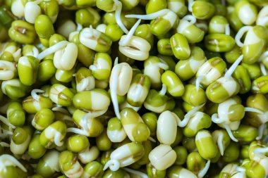 Mung fasulyesi filizleri, besin için tohum filizleri, çiğ gıda diyeti ve vejetaryenlik.