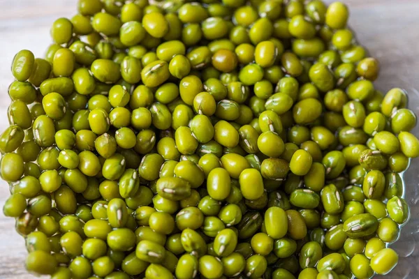 Sprouts of mung bean, germination of seed sprouts for nutrition, a raw food diet and vegetarianism