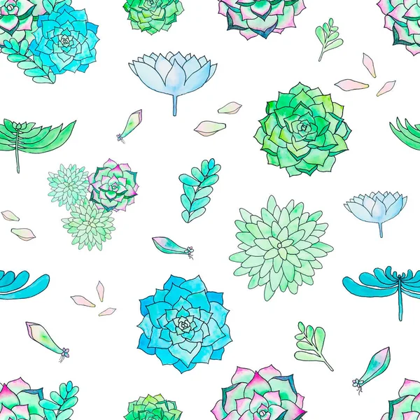 Seamless pattern of succulents and plants, drawn green Echeveria leaves on a white background