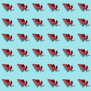 Turkuaz zemin üzerinde kusursuz kırmızı eğreltiotu yaprakları, düz yatış, üst görünüm