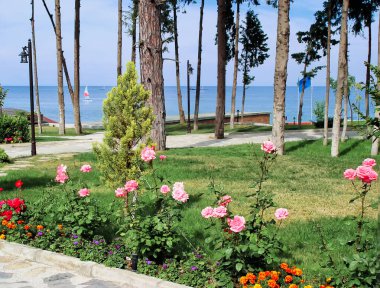 Kemer tatil köyündeki halk parkında. Türkiye