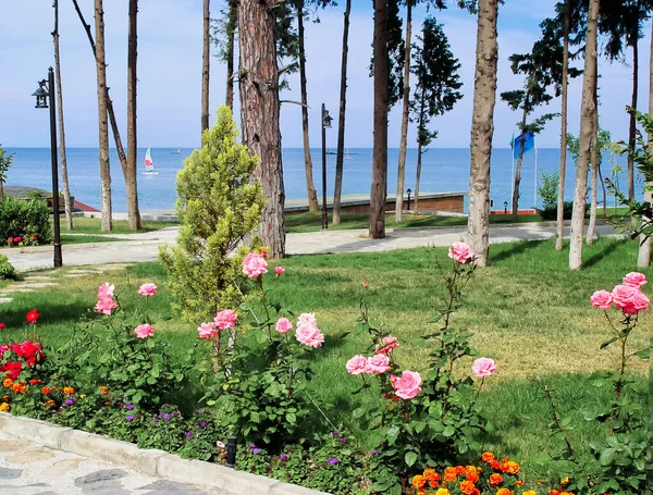 Parque Público Resort Kemer Turquia — Fotografia de Stock
