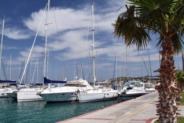 Kos marinasında kar beyazı yatlar. Yunanistan