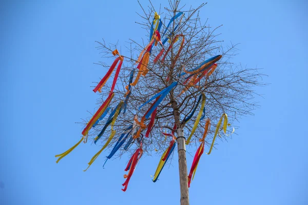 Maibaum mit bunten Bändern geschmückt Stockfoto