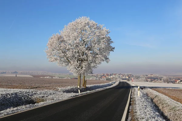 Winterlandschap / Frosty ochtend — Stockfoto