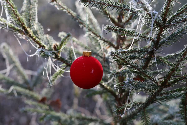 クリスマスのおもちゃ/美しいクリスマスと新しい年のシーン — ストック写真