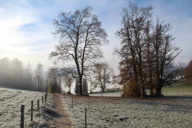  dağlarda soğuk sabah