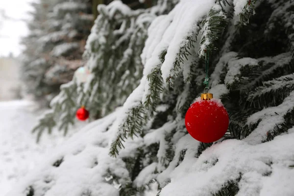 美しいクリスマスと新しい年のシーン — ストック写真