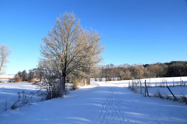 Winter landscape with fields — Stock Photo, Image