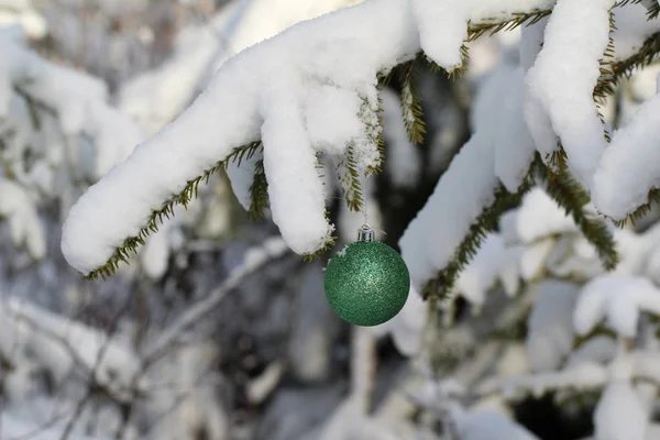 美しいクリスマスと新しい年のシーン — ストック写真