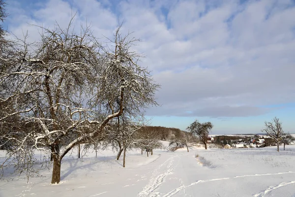 Zimní krajina s vesnicí — Stock fotografie