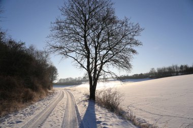 Tarlalı kış manzarası