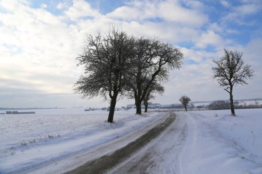 Tarlalı kış manzarası