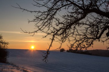 Kış peyzaj alanları ve çayırlar / kış günbatımı