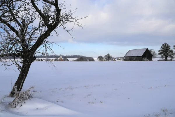 Paesaggio invernale con campi — Foto Stock