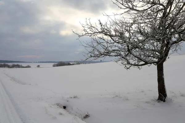 Зимний пейзаж с полями — стоковое фото