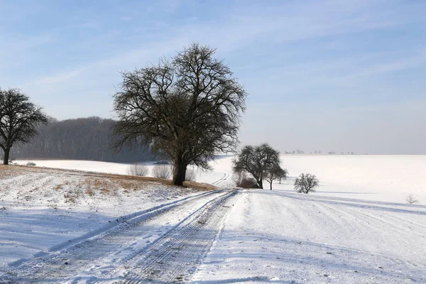 Winterlandschap met velden — Stockfoto