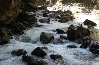 Dağ dere orman yoluyla