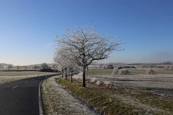 Zimní krajina s poli a loukami / mrazivý den — Stock fotografie