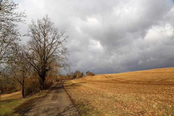 Das Ist Das Ende Des Sommer Geernteten Weizenfeldes — Stockfoto