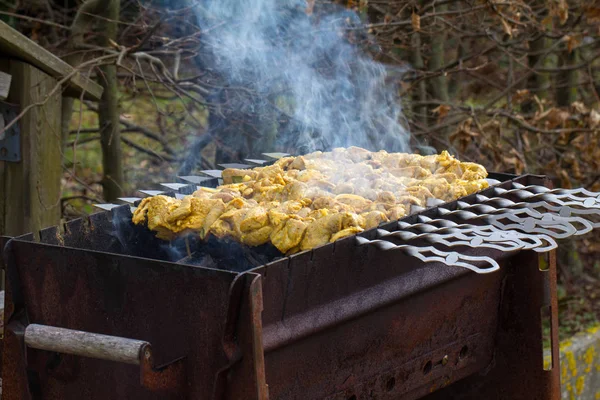 Carne a la parrilla —  Fotos de Stock