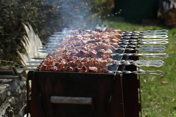 Carne Parrilla Schaschlik Cocina Barbacoa —  Fotos de Stock
