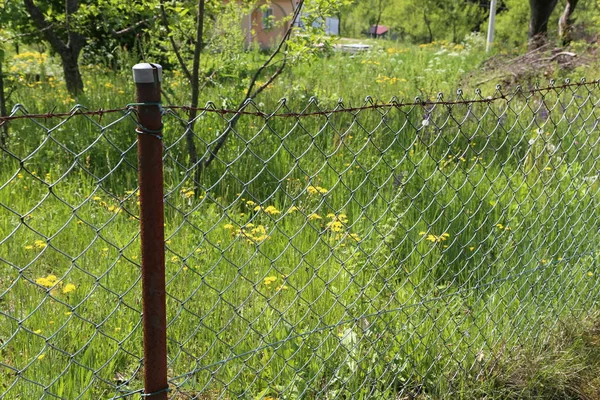 Metal mesh as a garden fence