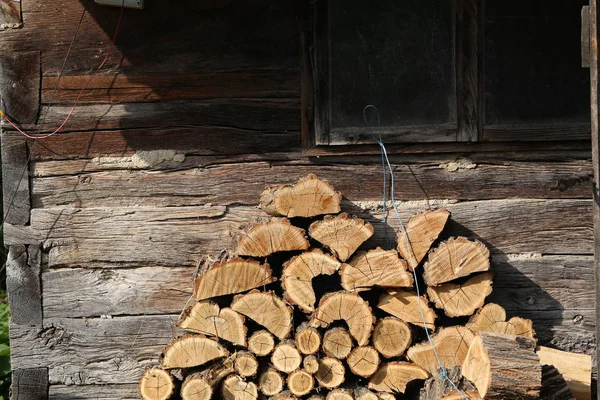 Fallna träd ligga i skogen — Stockfoto