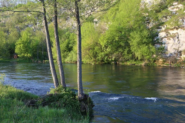 Floden Dobra (Kroatien) — Stockfoto