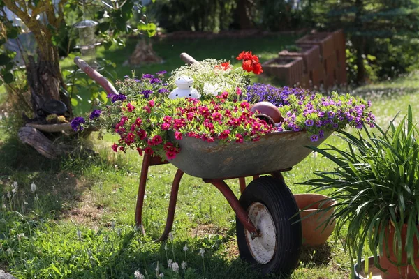 Gartendekoration Schubkarre Mit Blumen — Stockfoto