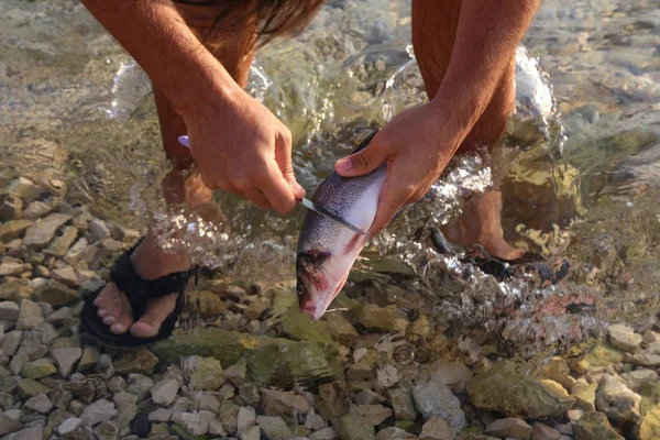 Fish processing / Fish processing outdoors. Detail.