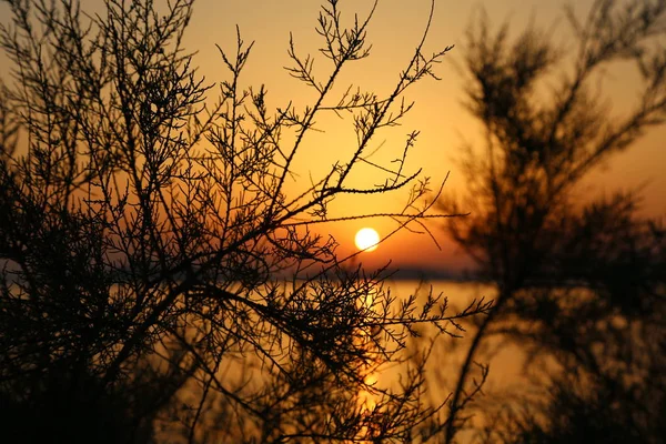 Adriyatik Denizi Nde Günbatımı — Stok fotoğraf