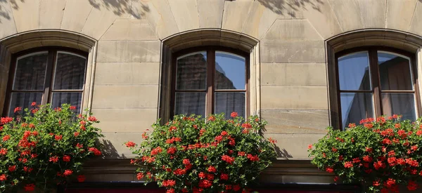 Flores Alféizar Ventana —  Fotos de Stock