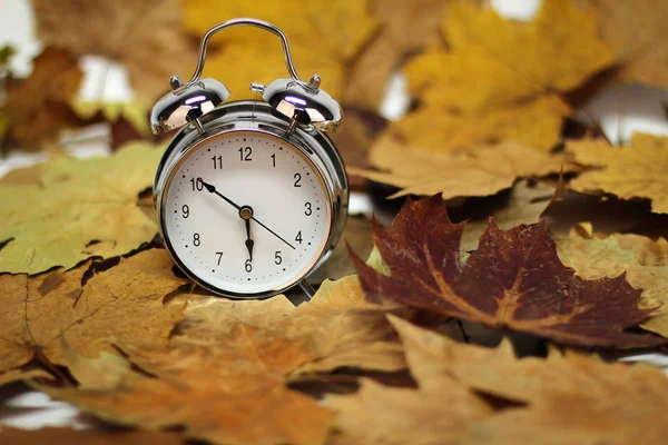 Φθινόπωρο Ξυπνητήρι Ρετρό Σύνθεση Παλιά Συναγερμού Ρολόι — Φωτογραφία Αρχείου