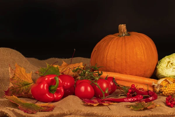 Kabak / sonbahar natürmort / farklı sebze masada