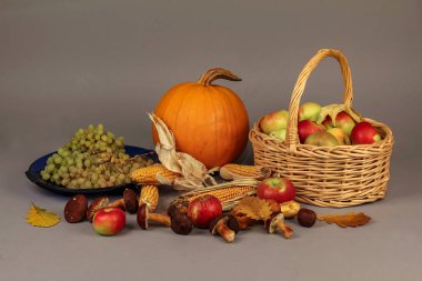 Sonbahar natürmort / tablosundaki çeşitli sebze