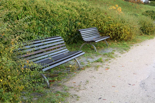 Autumn Park Maple Leaves Lie Bench — Stock Photo, Image