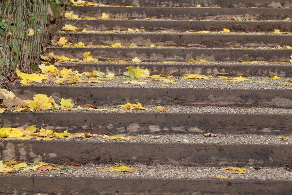Őszi Levelek Hazugság Utcai Lépcsők — Stock Fotó