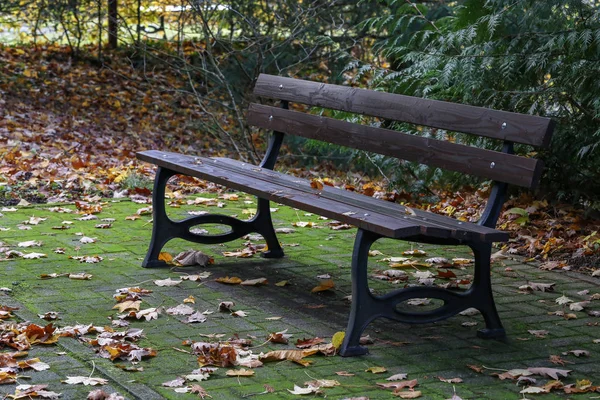 Banco Parque Banco Madeira Para Descanso — Fotografia de Stock